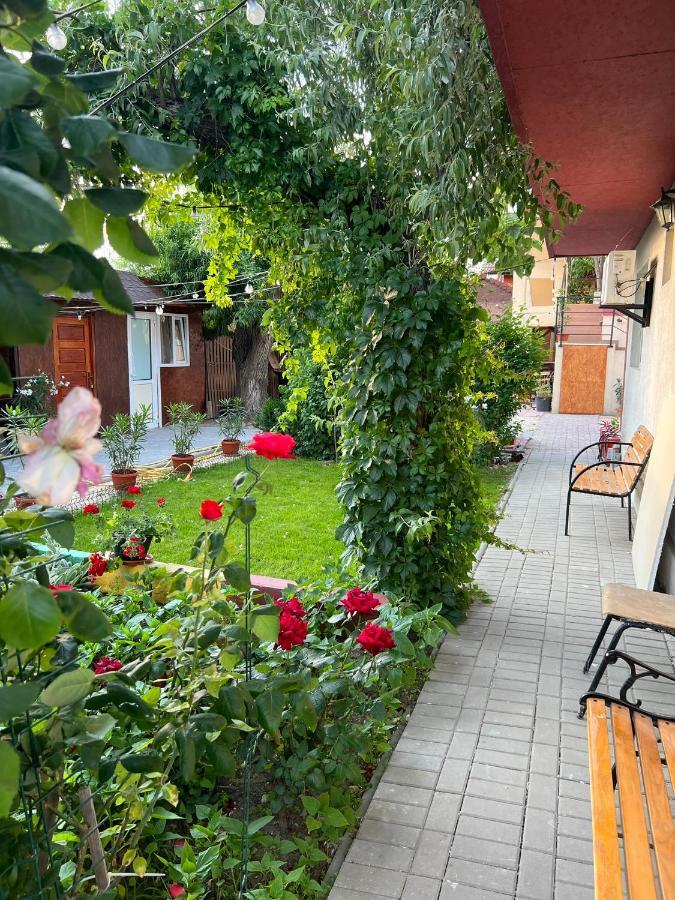 Vila Iris Mamaia Nord Năvodari Zewnętrze zdjęcie